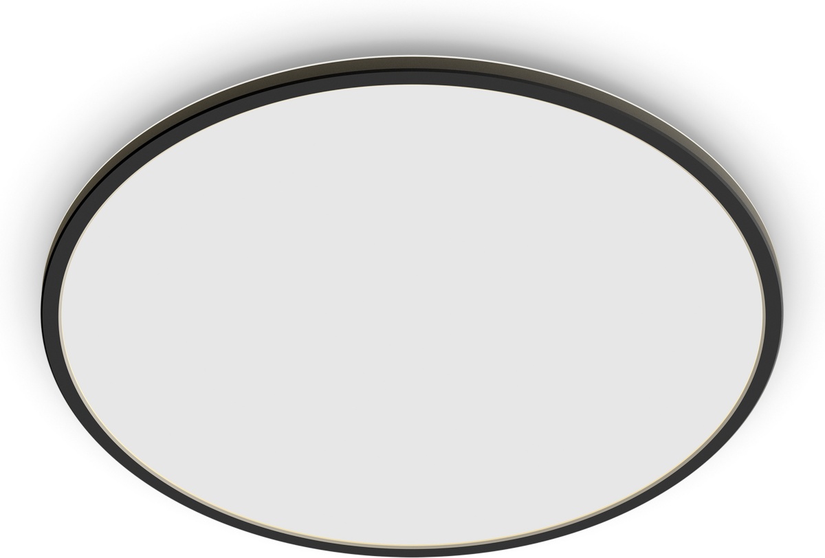 Philips plafoon SuperSlim Outdoor Ceiling Light, SceneSwitch, IP54, 2700K, must