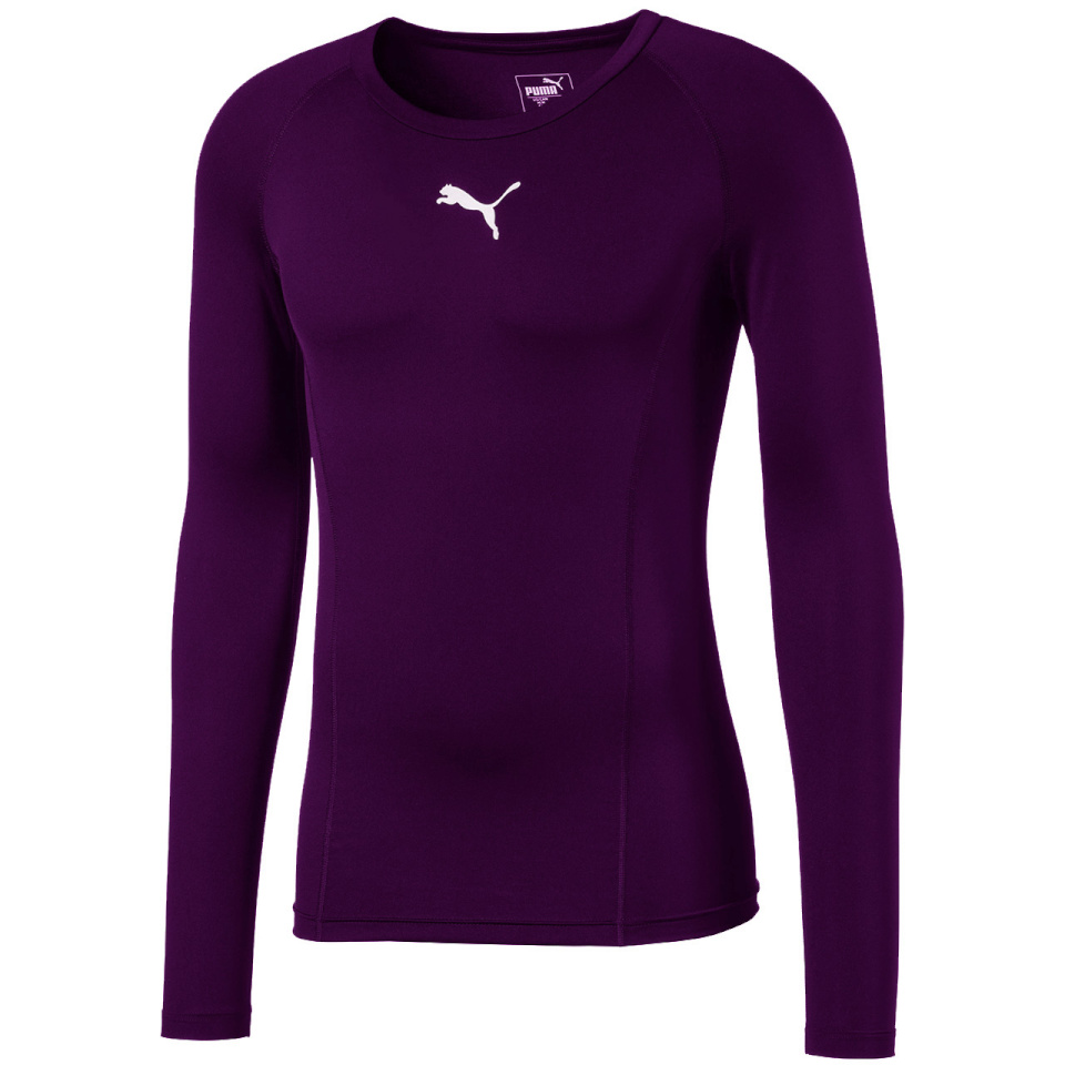 Puma T-särk meestele Liga Baselayer LS violetne 655920 10 suurus S