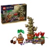 Lego klotsid Harry Potter 76474 - Rośliny z lekcji zielarstwa w Hogwarcie