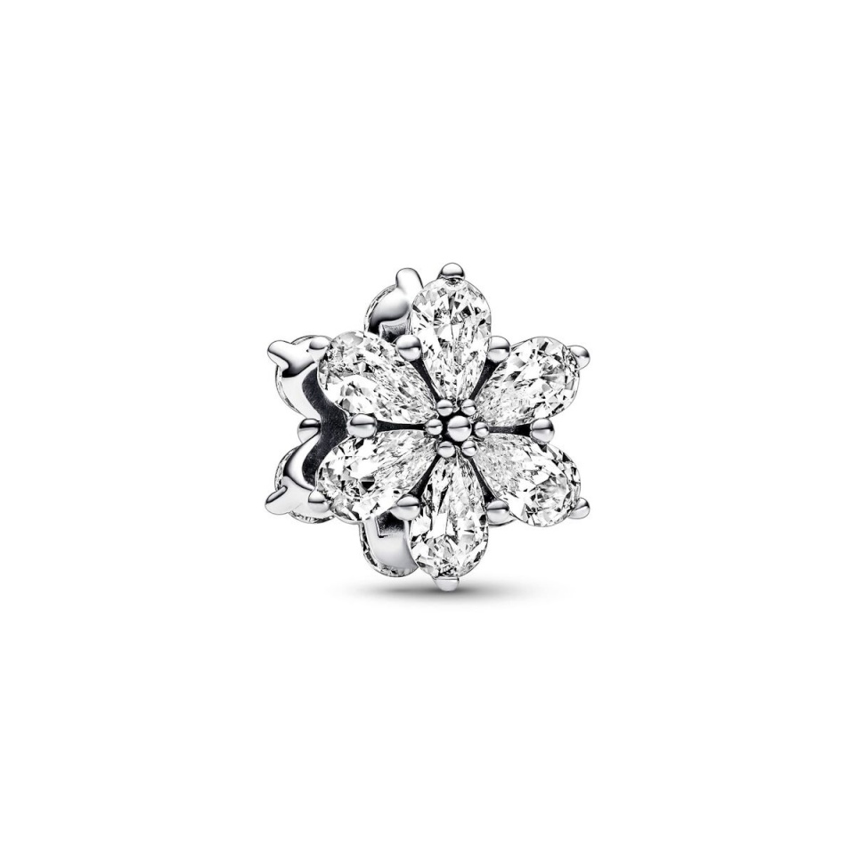 Pandora naiste amuletid 792623C01