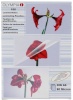 Olympia lamineerimiskile 1x100 Laminating Pouch DIN A6 80 micron 9168