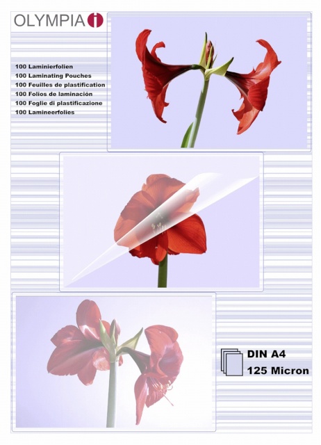 Olympia lamineerimiskile 1x100 Laminating Pouch DIN A4 125 micron 9176