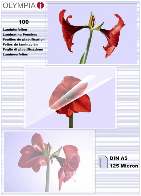 Olympia lamineerimiskile 1x100 Laminating Pouch DIN A5 125 micron 9177