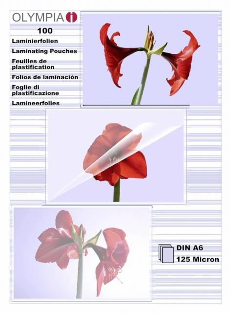 Olympia lamineerimiskile 1x100 Laminating Pouch DIN A6 125 micron 9178