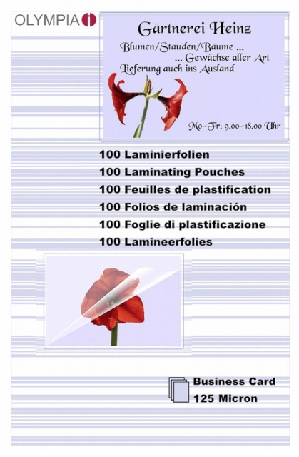 Olympia lamineerimiskile 1x100 Laminating Pouch Business Cards 125 micron 9179