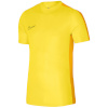 Nike Team T-särk meestele DF Academy 23 SS kollane DR1336 719 suurus S