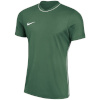 Nike Team T-särk meestele Dri-Fit Park 26 SS Top roheline HM7127 302 suurus S