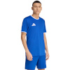 Adidas Teamwear T-särk meestele Entrada 26 Jersey sinine JZ2506 suurus S