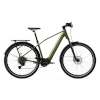 TENWAYS elektrijalgratas AGO X Special Edition, 29" Green