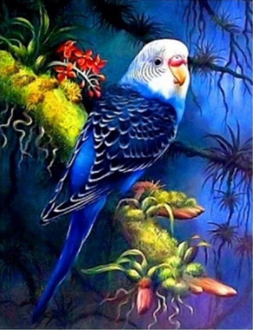 Norimpex teemantmaal Diamond Mosaic - Papuga