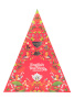 English Tea Shop advendikalender Organic Tea Christmas Calendar Pyramid, 6 x 50 g, 25tk