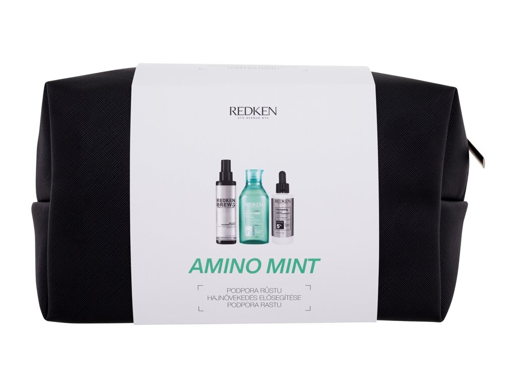 Redken komplekt Amino-Mint Shampoo 300ml + Hair Spray Brews Instant Thickening 125ml + Hair Care Thickening Treatment 90ml + Bag, naistele