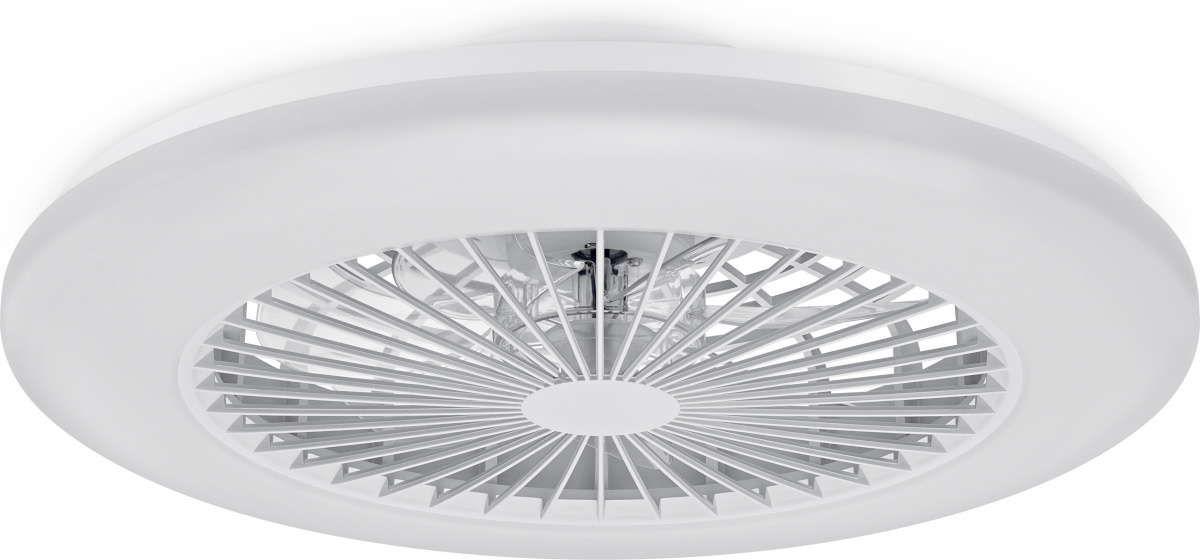 Philips Amigo Flat Fan Ceiling IR RD 25W+60W ventilaatorilamp, valge