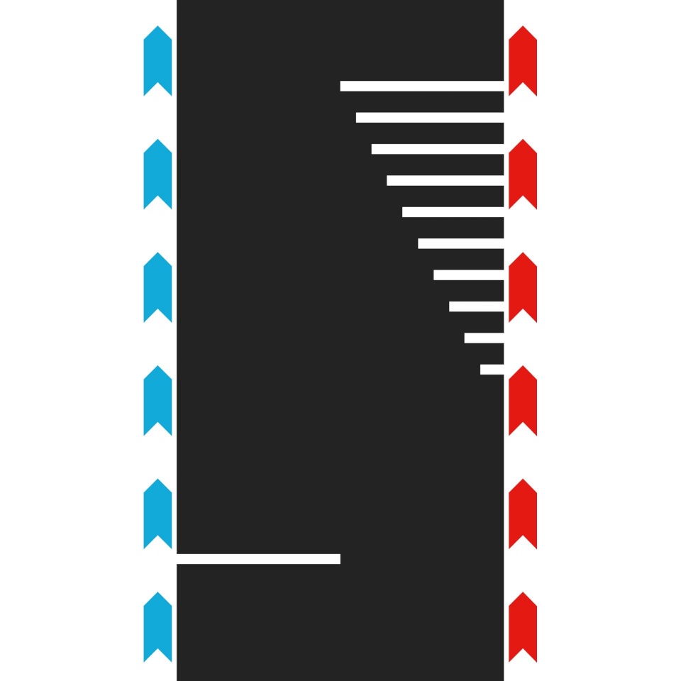 Carrera autoringrada Hybrid Narrow Section