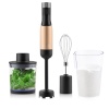 ETA blender | Hand | ETA321990020 Mano | Hand | 1000W | must/Golden