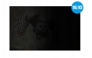 Natec privaatusfilter Owl 14' 16:10 (302 x 189 mm)