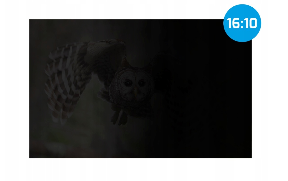 Natec privaatusfilter Owl 14' 16:10 (302 x 189 mm)