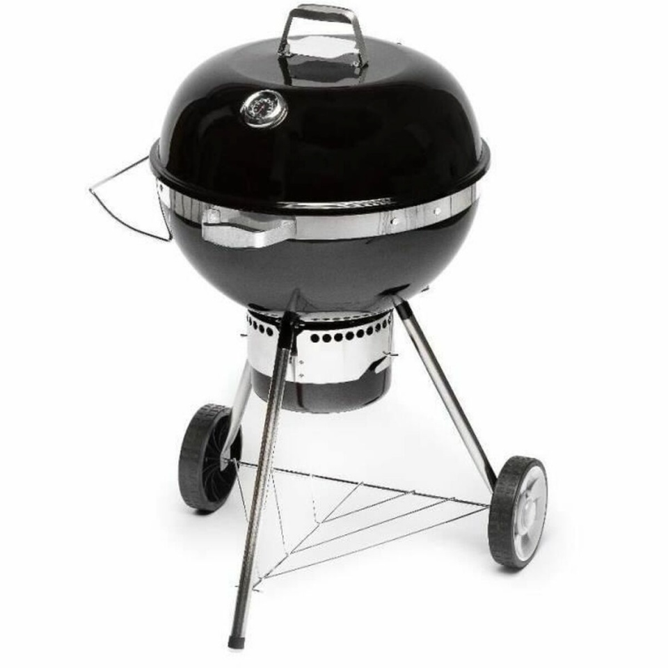Fieldmann Kaasaskantav Barbeque-grill FZG 1017 Metall teras