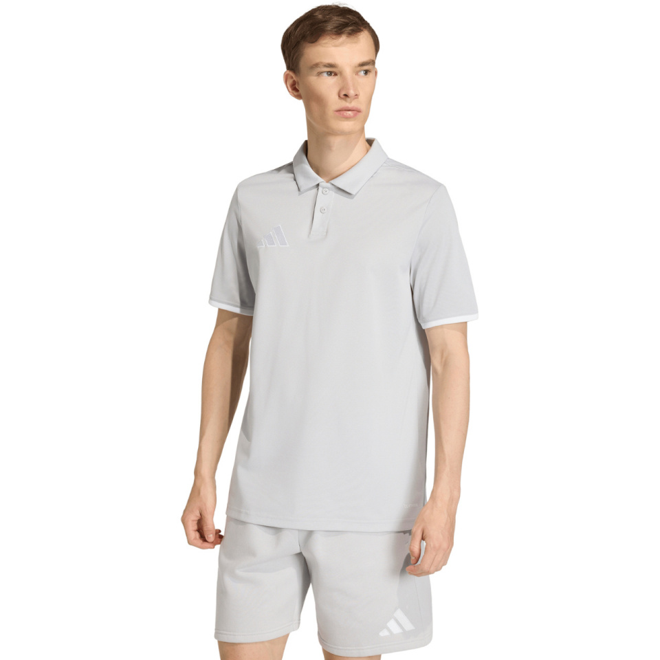 Adidas Teamwear T-särk meestele Entrada 26 Polo hall JZ6662 suurus S