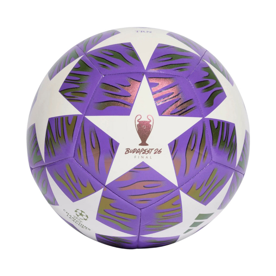 Adidas jalgpall UCL 25/26 Final Training lilla-valge JX9089 4