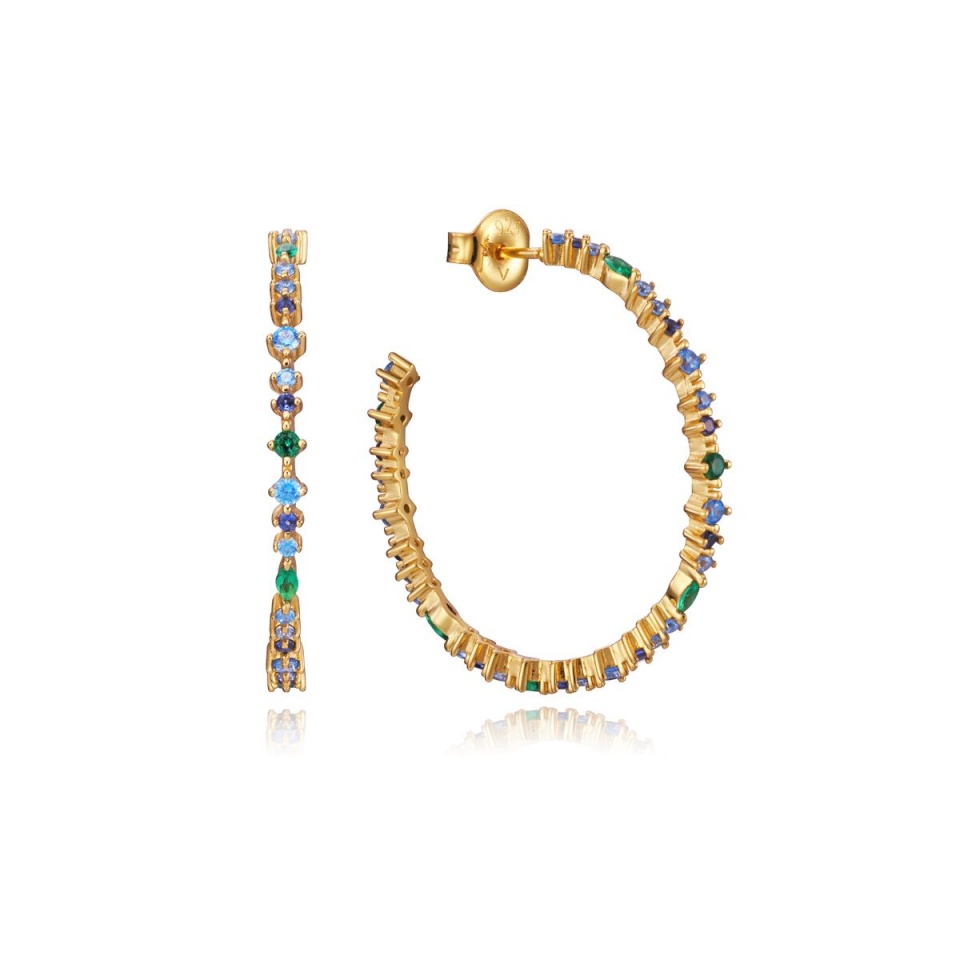 Viceroy naiste kõrvarõngad 13136E100-39