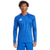 Adidas Teamwear T-särk meestele Team Icon 25 Jersey Long Sleeve sinine JM6788 suurus M