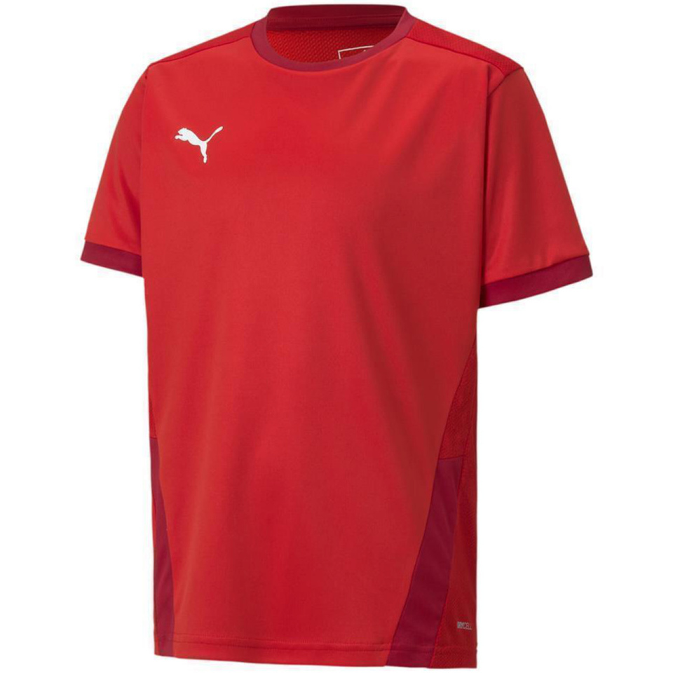 Puma T-särk lastele Teamgoal 23 Jersey punane 704160 01 suurus 176cm