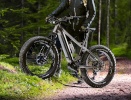 GZR elektriline jalgratas Dominanc-e 3.0 Fatbike 19"