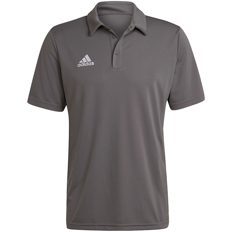 Adidas Teamwear T-särk meestele Entrada 22 Polo hall H57486 suurus XS