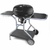 Fieldmann Kaasaskantav Barbeque-grill FZG 1014 Metall teras