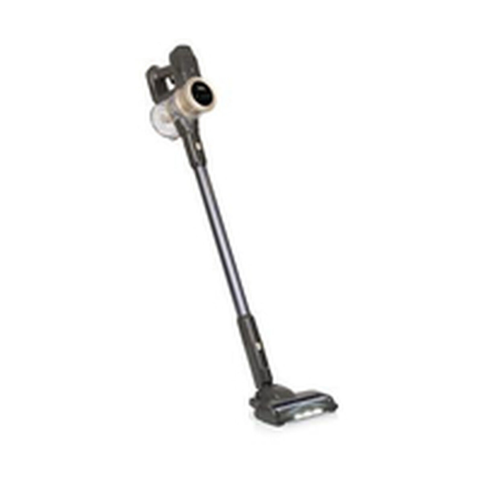 Princess Varstolmuimeja