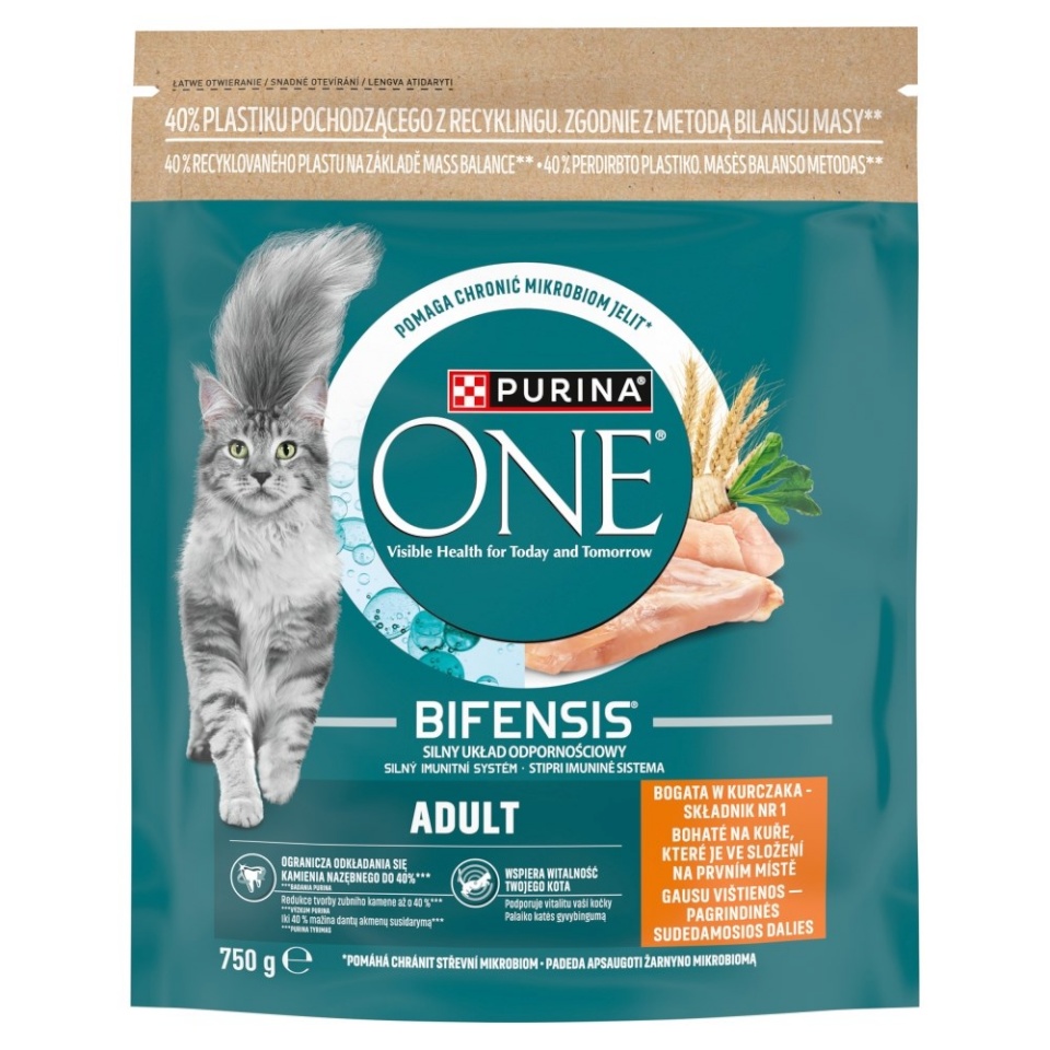Purina Nestle kuivtoit kassile One Bifensis Adult Rich in Chicken, 750g