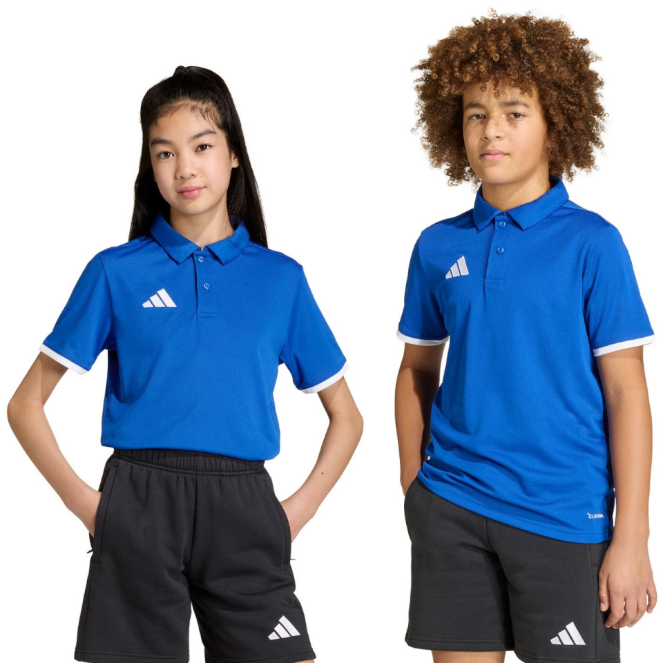 Adidas Teamwear T-särk lastele Entrada 26 Polo sinine JZ6625 suurus 164cm