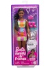 Mattel mängunukk Barbie Brooklyn