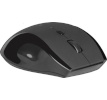 Defender hiir OPTICAL MOUSE ACCURA MM-295 RF