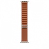 Apple 49mm Terra Cotta Alpine Loop - Large - Natural Titanium Finish