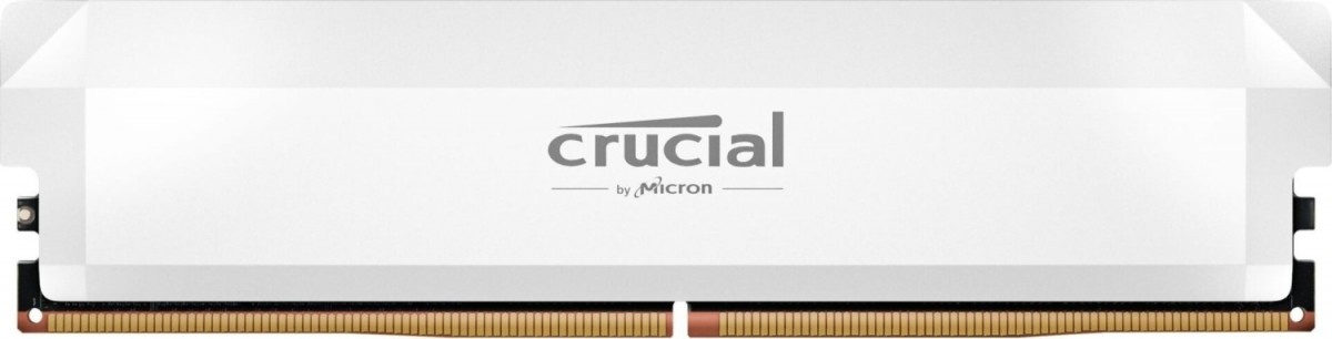 Crucial mälu Memory DDR5 Pro OC 16 6000MHz (1x16GB) CL36 White