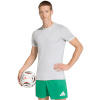 Adidas Teamwear T-särk meestele Entrada 26 Jersey helehall JZ2511 suurus S