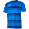 Puma T-särk meestele Teamvision Jersey sinine 704921 02 suurus S