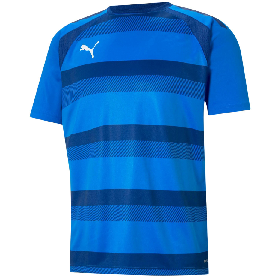 Puma T-särk meestele Teamvision Jersey sinine 704921 02 suurus S