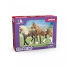 Schleich mängufiguur set Start set Horse Club