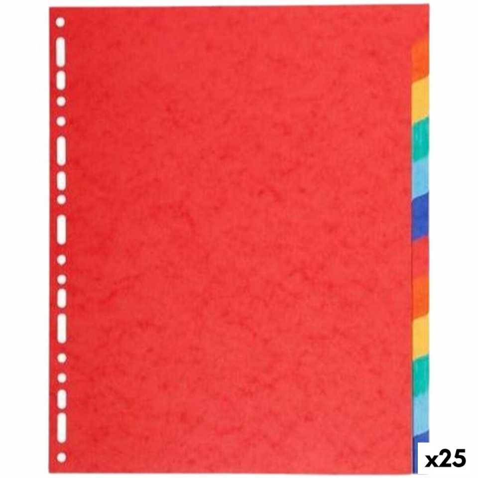 Exacompta Eraldajad Maxi mitmevärviline A4+ 12 Lehed 25tk