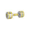 inSPORTline hantel Chrome Dumbbell Yellsteel 6kg