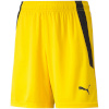 Lühikesed püksid Kids Puma Teamliga Shorts Jr Cyber kollane 704931 07 152cm