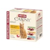 Animonda kassitoit Carny Adult Poultry mix - Wet Cat Food- 8x85g