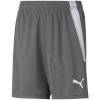 Lühikesed püksid Kids Puma Teamliga Shorts Jr Smoked hall 704931 13 116cm