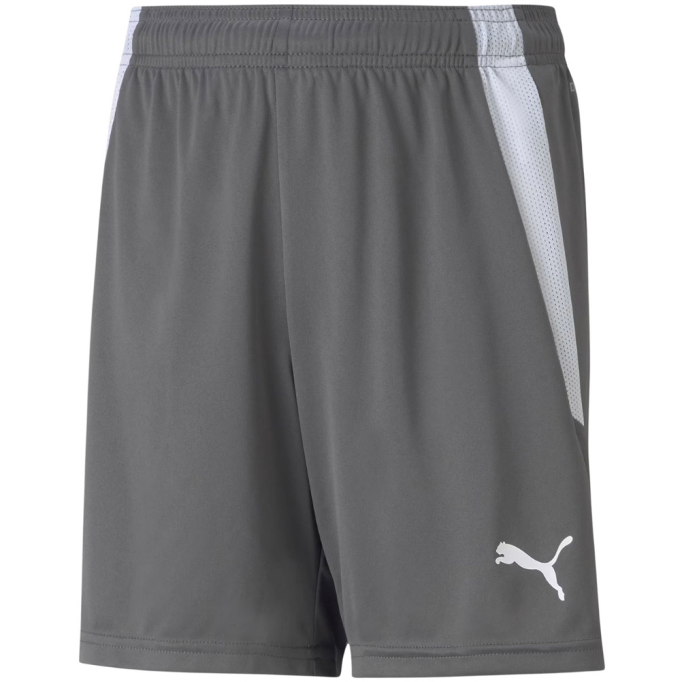 Lühikesed püksid Kids Puma Teamliga Shorts Jr Smoked hall 704931 13 140cm