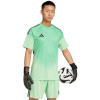 Adidas Teamwear T-särk Bramkarska meestele Tiro 25 Competition Jersey Short Sleeve roheline JI9716 suurus XXL