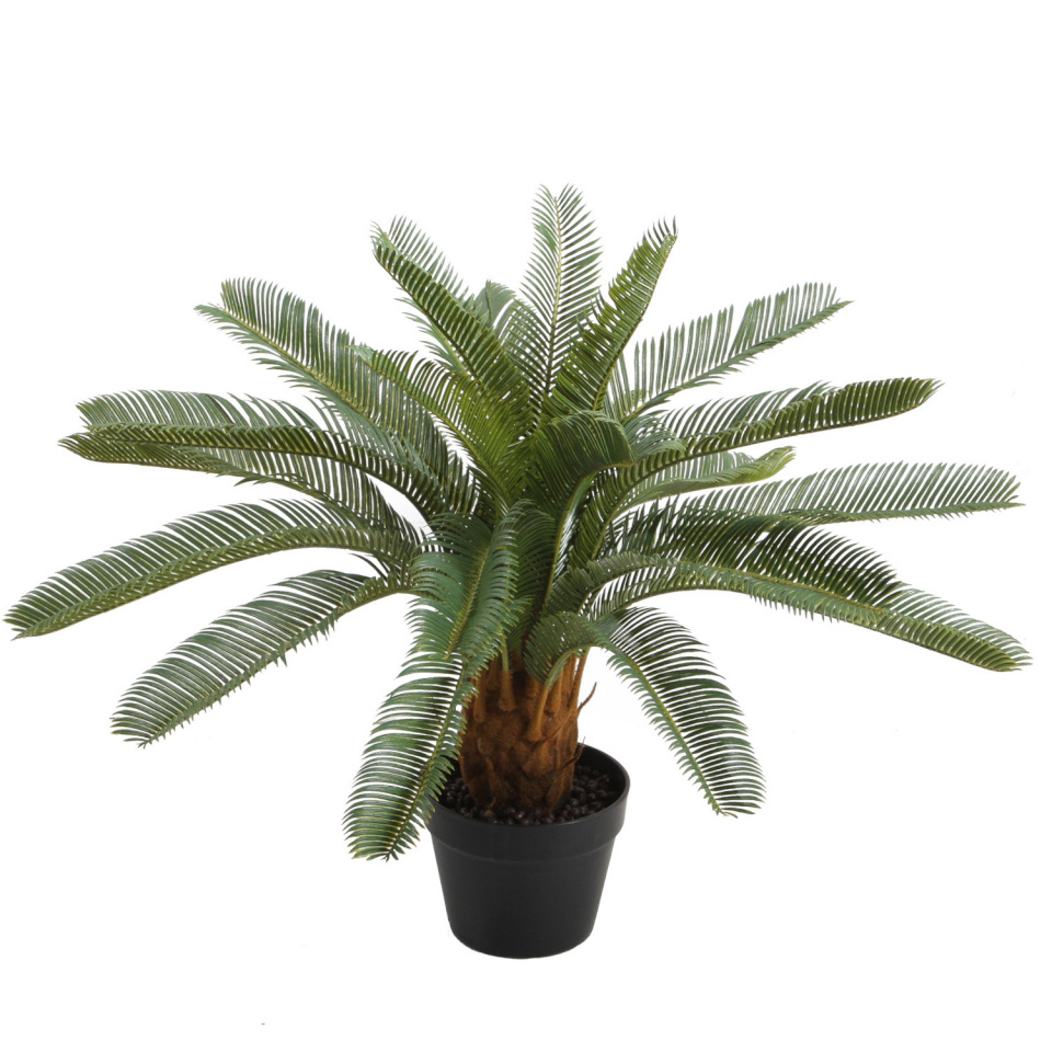 H4Y kunsttaim Cycas, 70cm, roheline