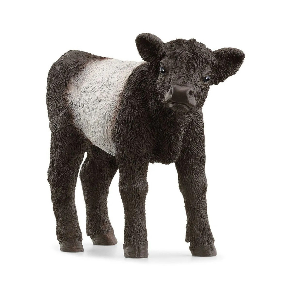Schleich Farm World Galloway Kalb       13969